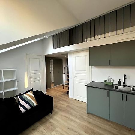 ヴィリニュスBrand-New Central Loftアパートメント エクステリア 写真