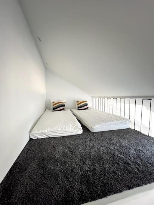 ヴィリニュスBrand-New Central Loftアパートメント エクステリア 写真