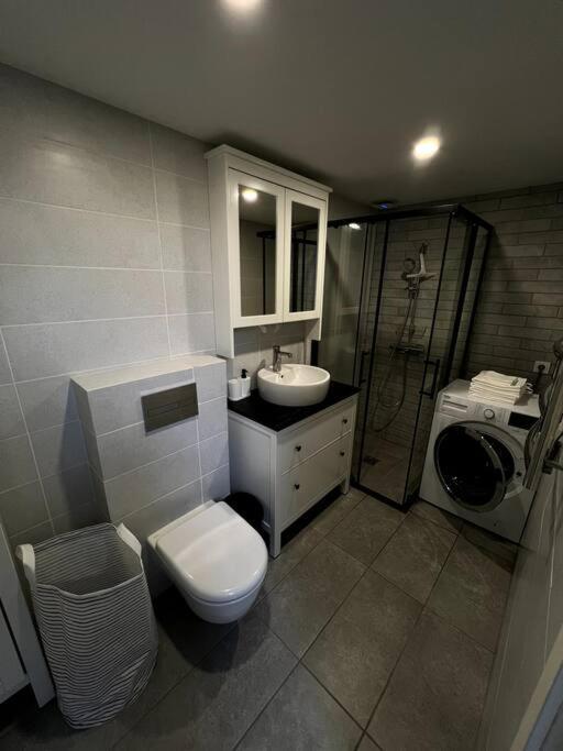 ヴィリニュスBrand-New Central Loftアパートメント エクステリア 写真