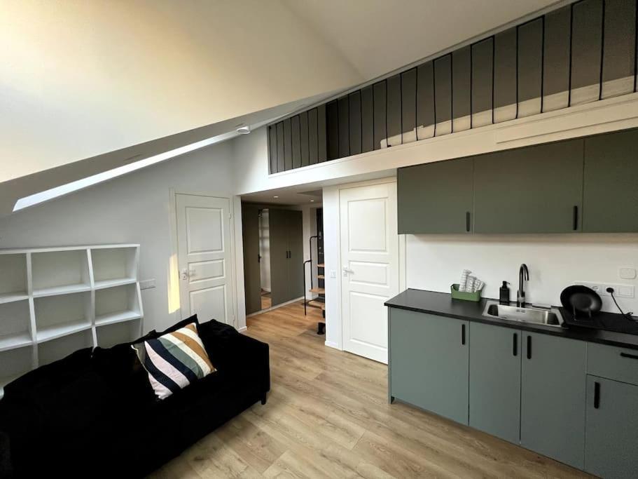 ヴィリニュスBrand-New Central Loftアパートメント エクステリア 写真